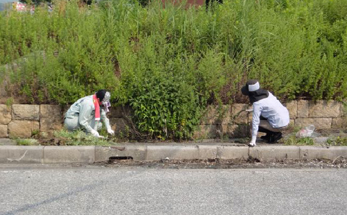 二人で歩道の草刈りをしている様子